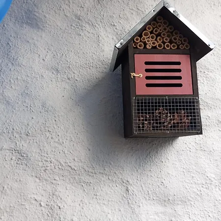 Mit Toller Aussicht * Bad Liebenzell